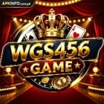 WGS456 Game