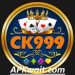 Ct999